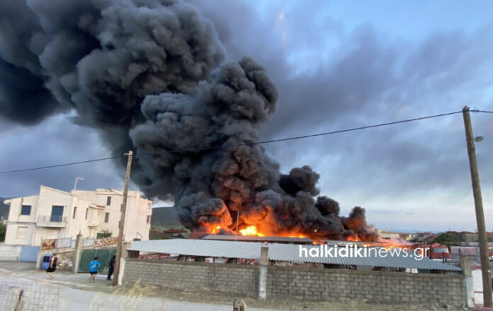 Ormylia Fire September 4 2025 Ormylia Fire September 4 2025