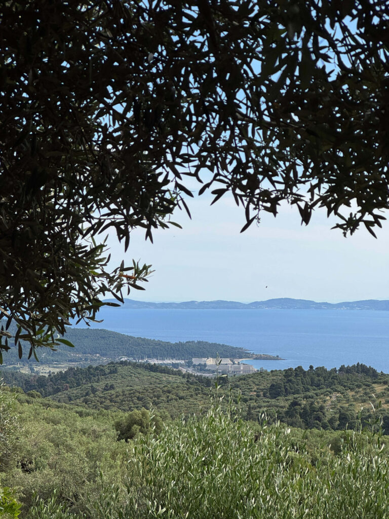 PENDE Parthenonas - Sithonia, Greece