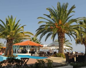 Assa Maris Hotel - Salonikiou Beach Sithonia Greece