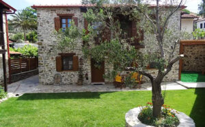 Nikitis-Luxury-Family-Villa-exterior-olive-tree-green