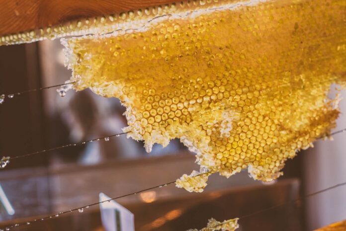 sithonia honey