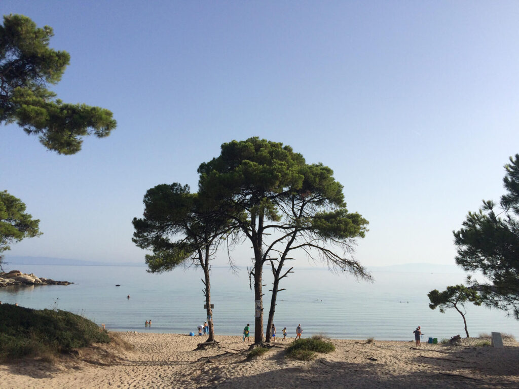 Karidi beach Vouvoutou Sithonias Halkidiki Greece