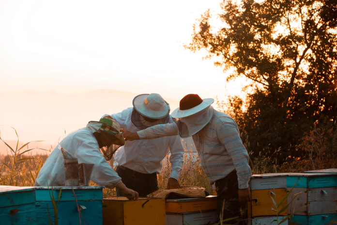 halkidiki-passion-honey