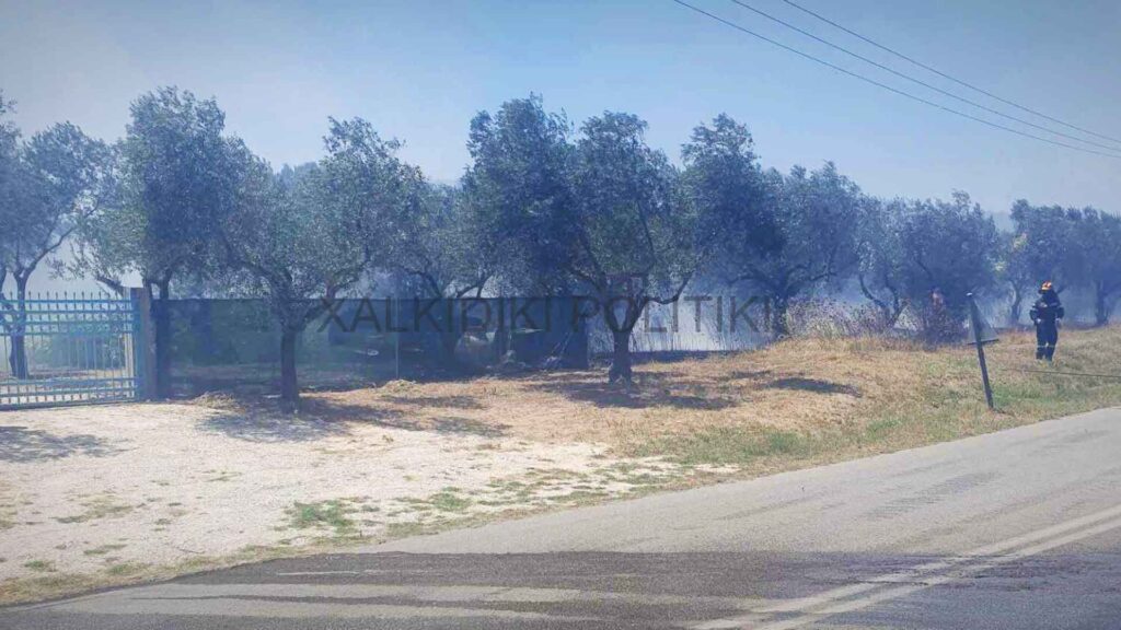 fire-sithonia-wildfire-july-2023-UPDATE-2