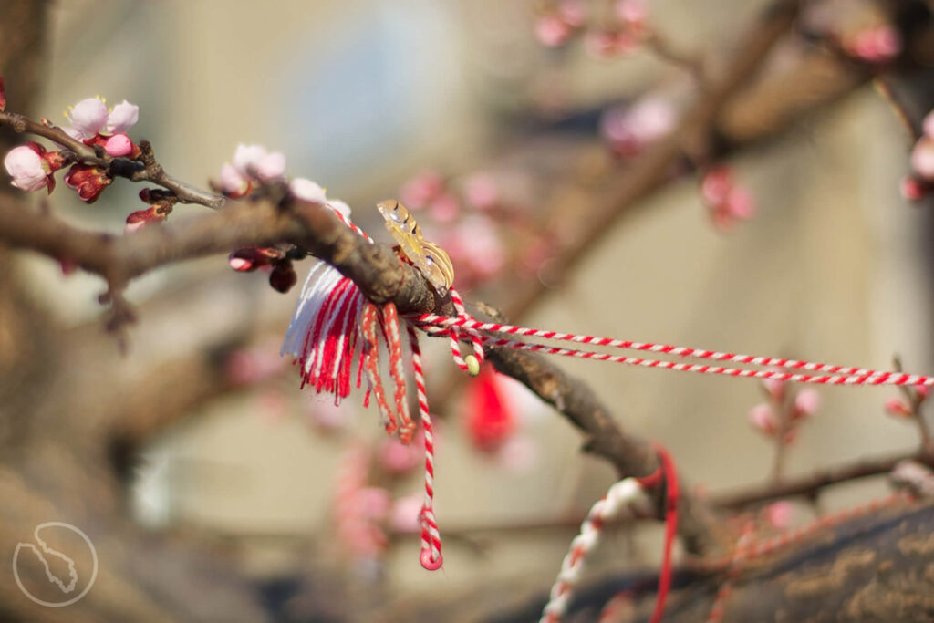 Martis Bracelets on Tree