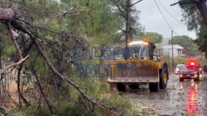 Storm Bora Sithonia, Halkidiki Greece December 1st 2024