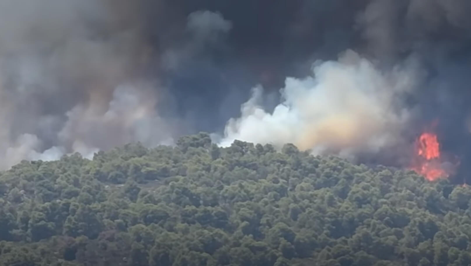 Wildfire Emergency in Vourvourou July 2, 2025