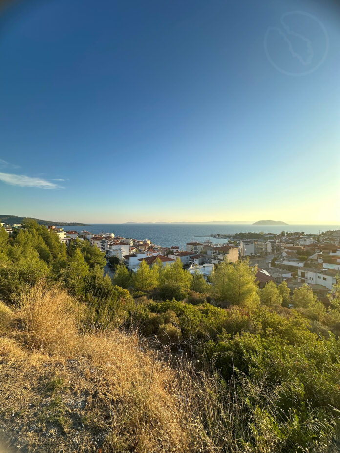 Wolf Attack in Neos Marmaras, Halkidiki 2025 - 5-Year-Old Injured